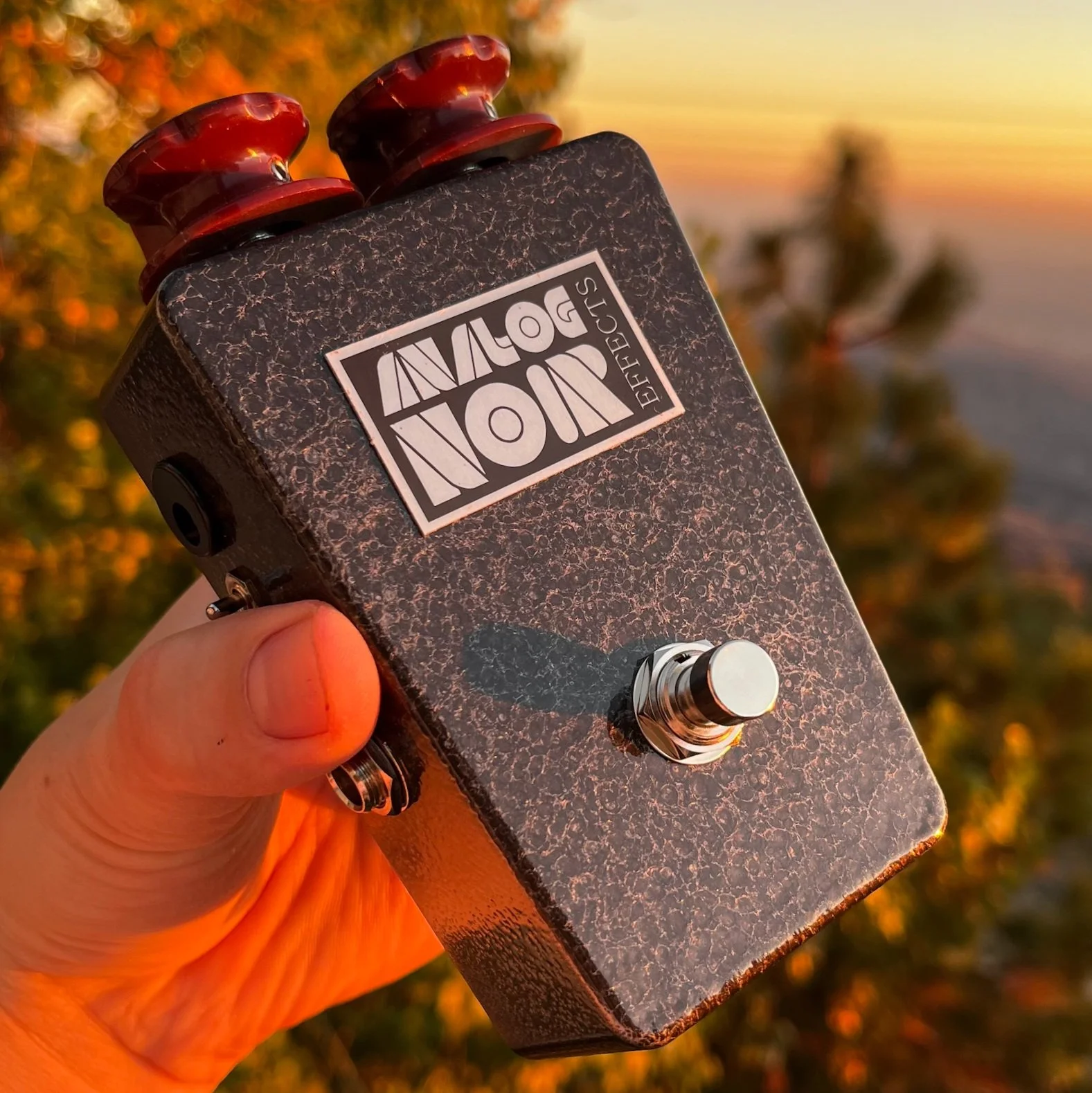 【Akira】PLACEBOプレセボ／RNF-SNAPPER 5’9” RNF-SNAPPER – Luvsurf